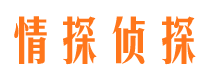 芦山市场调查